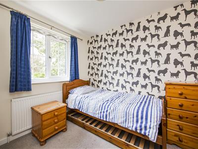 Picture 11